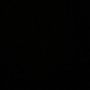 Meet your Posher, Natasha